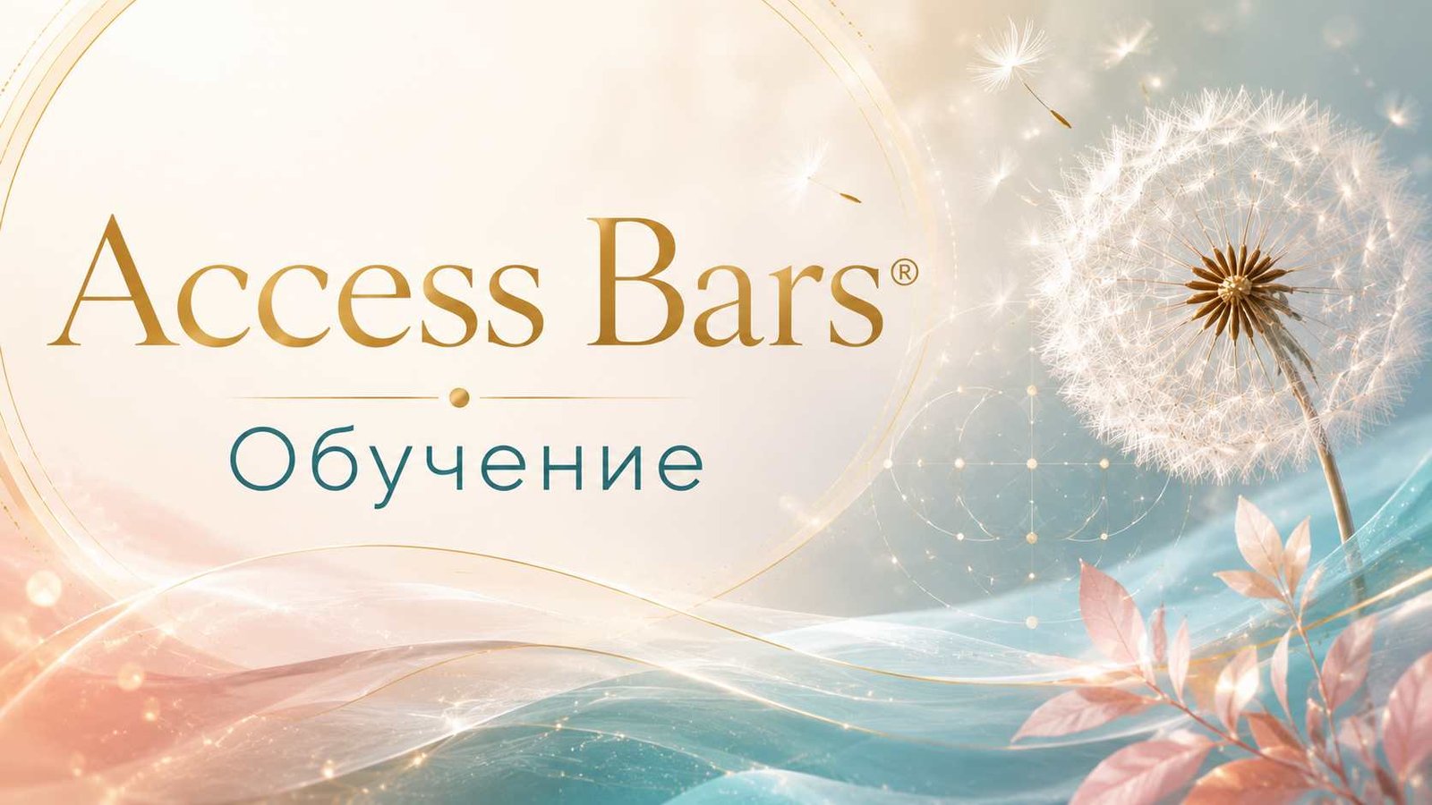 ОБУЧЕНИЕ ACCESS BARS